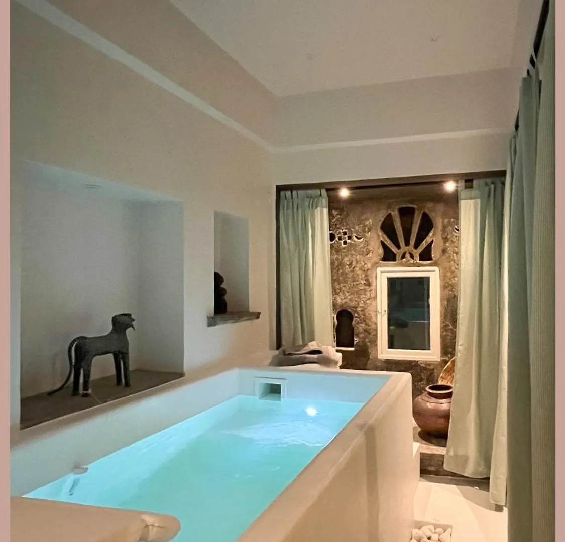 Smiling Sparrows 1 And 2 Bedroom Villas Udaipur Indien